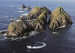 Bruny Wildlife Adventure, Tasmania