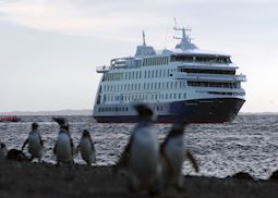 MV Stella Australis