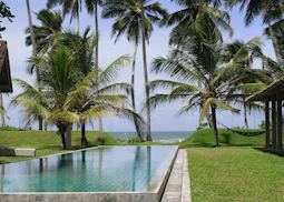 Frangipani Tree, Galle
