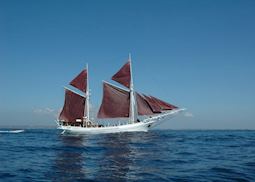 Katharina, Indonesia