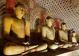 Buddha statues in the Dambulla Cave Temples