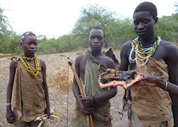 Honey found by the Hadzabe tribesmen on a hunt, Lake Eyasi, Tanzania