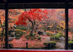A temple garden in autumn
