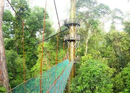 Canopy Walkways, Danum Valley, Malaysian Borneo
