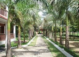 East grounds and gardens