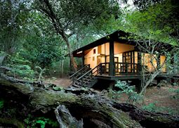 Phinda Forest Lodge, Phinda Private Game Reserve