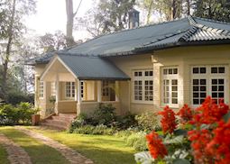 Summerville Bungalow