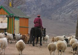 Terelj National Park, Mongolia