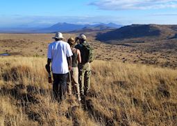Walking safari, Lewa Wilderness