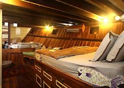 Family Cabin, Tiger Blue