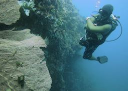 Diver with gorgonian fan coral, Boracay, Philippines