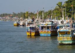 Fishing boats in the harbour, Negombo