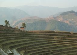 Rice terraces, Mu Cang Chai