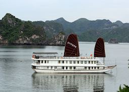 Halong Ginger,Halong City