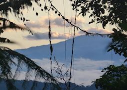 Cloudforest, Ecuador