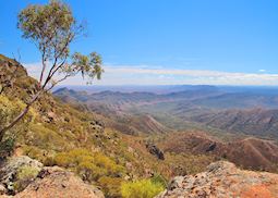 Flinders Ranges, Flinders Ranges