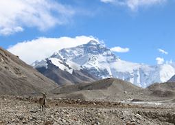 Everest's North Face