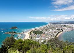 Tauranga