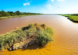 Lake Saint Lucia, Elephant Coast