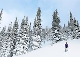Snowshoe tour on The Medicine Trail, Whistler