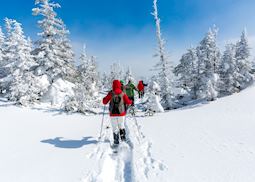 Snowshoeing guided tour