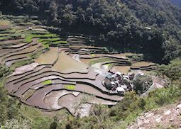 Hill village in the rice terraces, Banaue