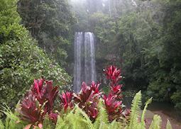 Millaa Millaa Falls, Atherton Tablelands