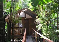 Bungalow, Daintree Wilderness Lodge