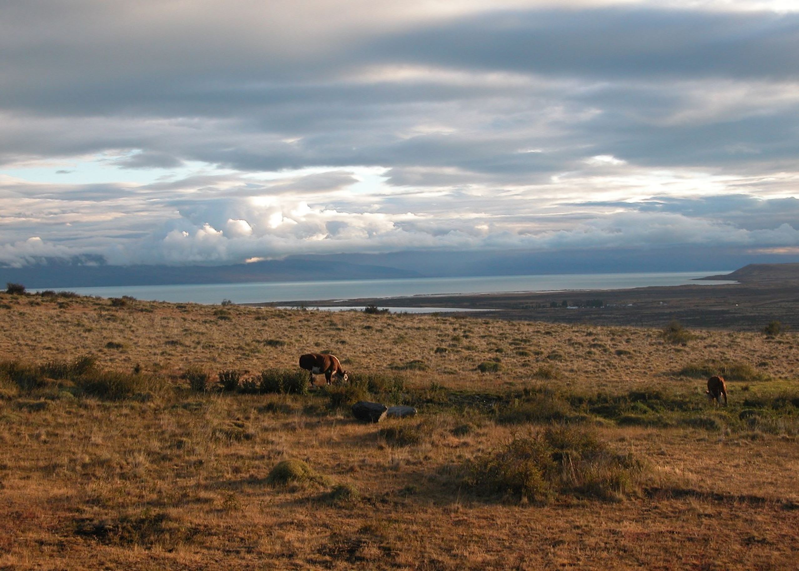 View across the Patagonian Steepe from Eolo View across the Patagonian Steepe from Eolo