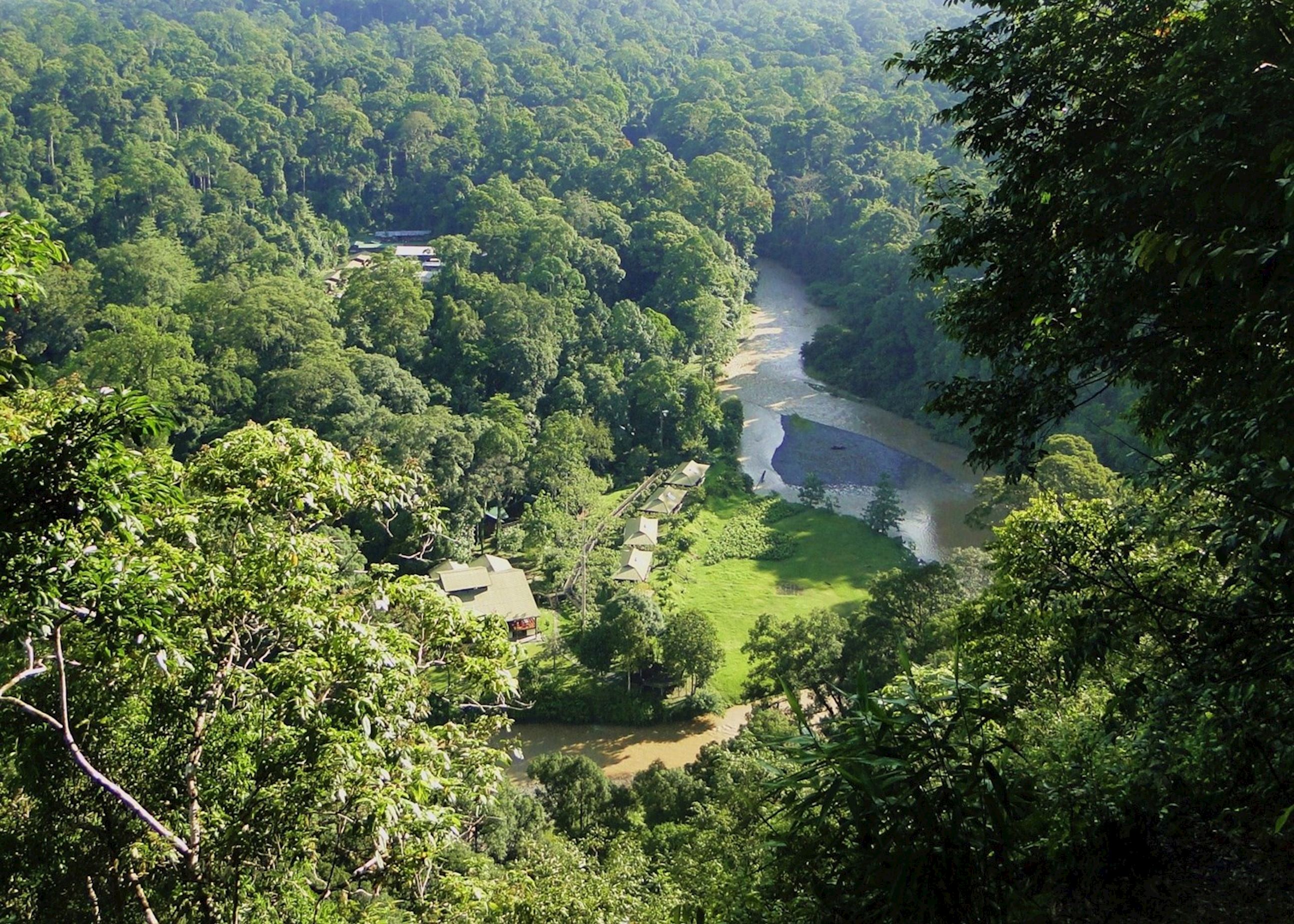 Diary From The Borneo Rainforest Lodge Audley Travel