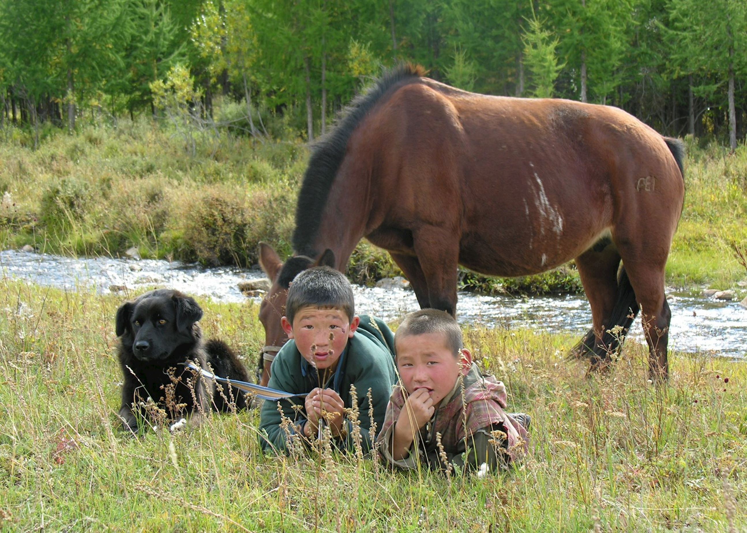 Nomadic Family Visit, Mongolia | Audley Travel