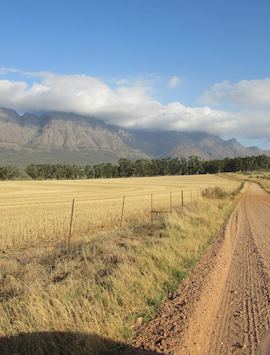 On the road to Bartholomeus Klip Farmhouse