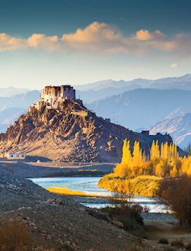 Leh Monastery, Ladakh, India