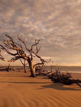 Jekyll Island, Georgia