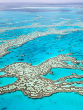 Great Barrier Reef, Australia