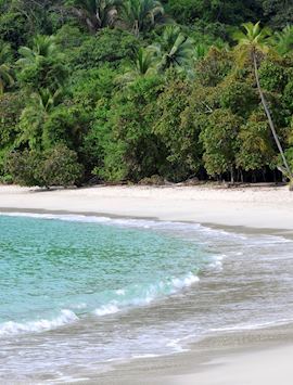 Manuel Antonio National Park, Costa Rica
