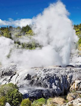 Pohutu geyser, Rotorua