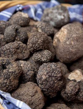 Fresh truffles, Italy