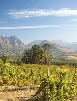 Franschhoek, the Cape Winelands