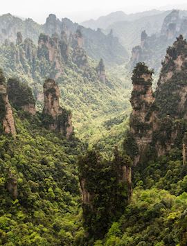 Zhangjiajie scenic area, Zhangjiajie