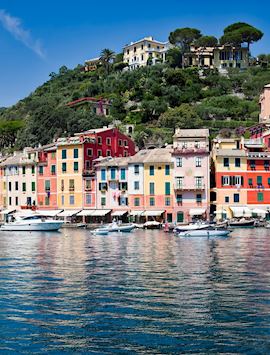 Vibrant port, Portofino