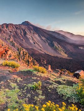Fertile volcanic soil, Mount Etna