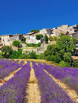 Provence of Travel US Highlights | Audley