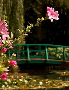 Gardens at Giverny, Normandy