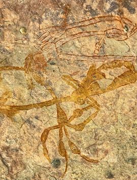 Aboriginal rock art, Kakadu National Park