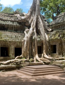 Ta Prohm, Siem Reap
