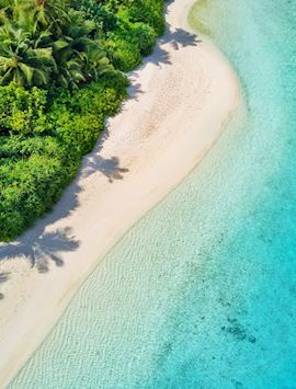 The Maldives