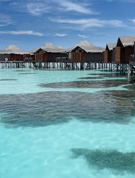 Coral gardens, Anantara Veli Maldives Resort, Maldive Island
