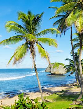 Eastern coastline, Barbados