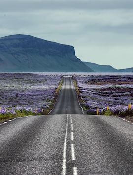 Driving in southeast Iceland